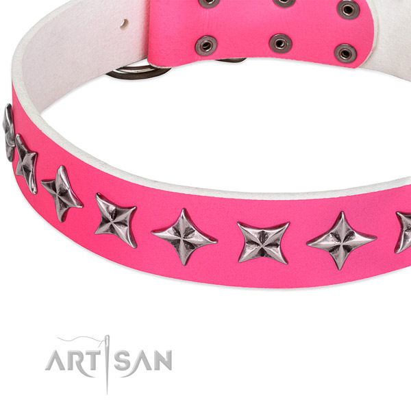 Everyday walking embellished dog collar of fine quality genuine leather