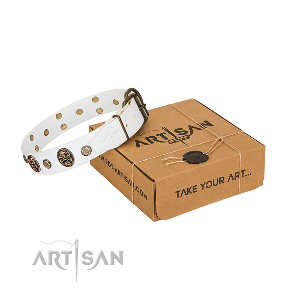 Strong buckle on natural genuine leather dog collar for walking