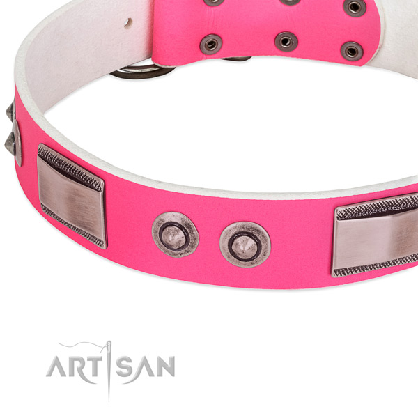 Easy wearing full grain leather collar with embellishments for your dog