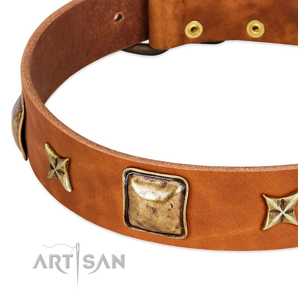 Rust-proof buckle on leather dog collar for your four-legged friend