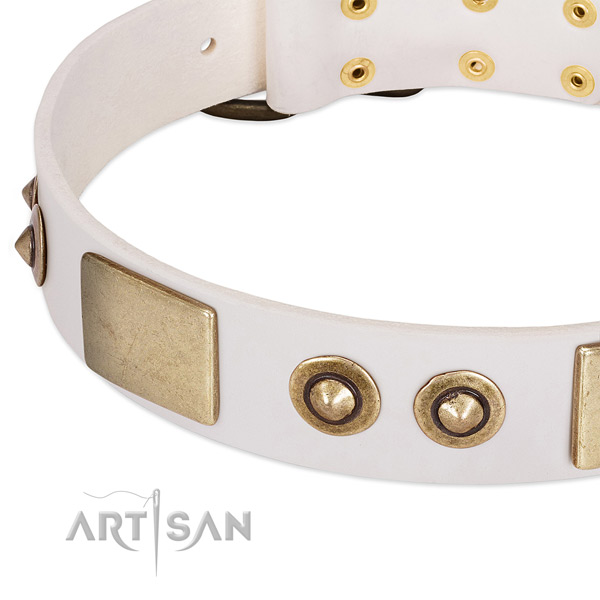 Durable decorations on leather dog collar for your dog