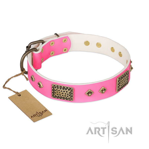 Adjustable full grain natural leather dog collar for stylish walking your doggie