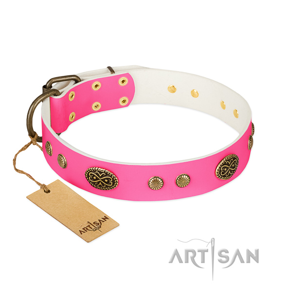 Rust resistant decorations on full grain leather dog collar for your doggie