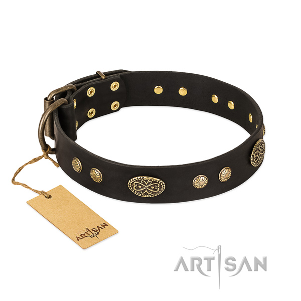 Reliable studs on full grain natural leather dog collar for your four-legged friend