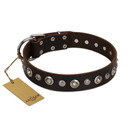 "Gorgeous Shields" FDT Artisan Brown Leather Great Dane Collar with Old Silver-like Circles and Small Camomiles "Gorgeous Shields" FDT Artisan Brown Leather Great Dane Collar with Old Silver-like Circles and Small Camomiles
