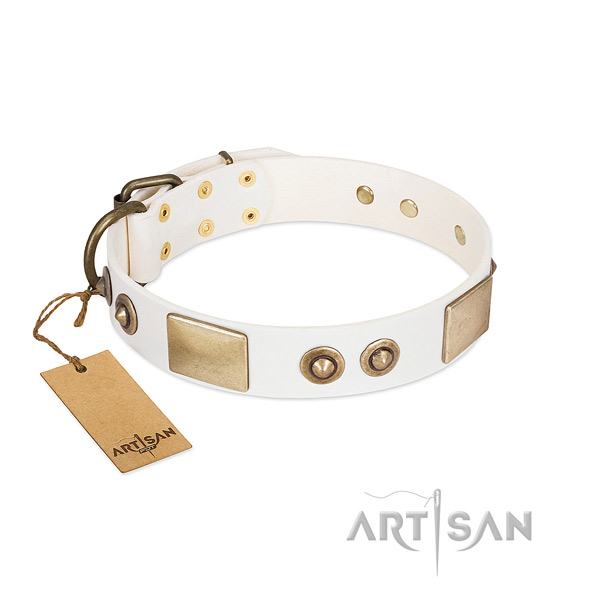 Durable traditional buckle on genuine leather dog collar for your doggie