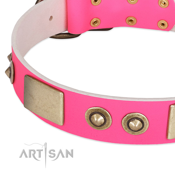 Reliable embellishments on genuine leather dog collar for your dog