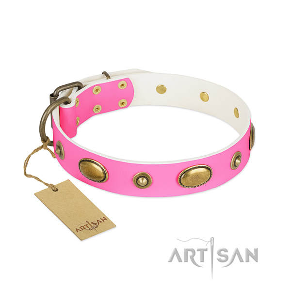 Designer genuine leather collar for your canine