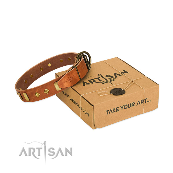 Comfy wearing top rate full grain leather dog collar with embellishments