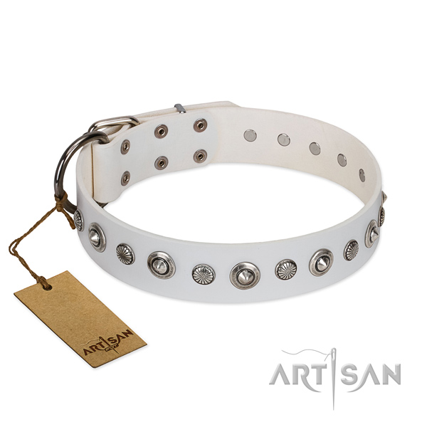 High quality leather dog collar with inimitable studs