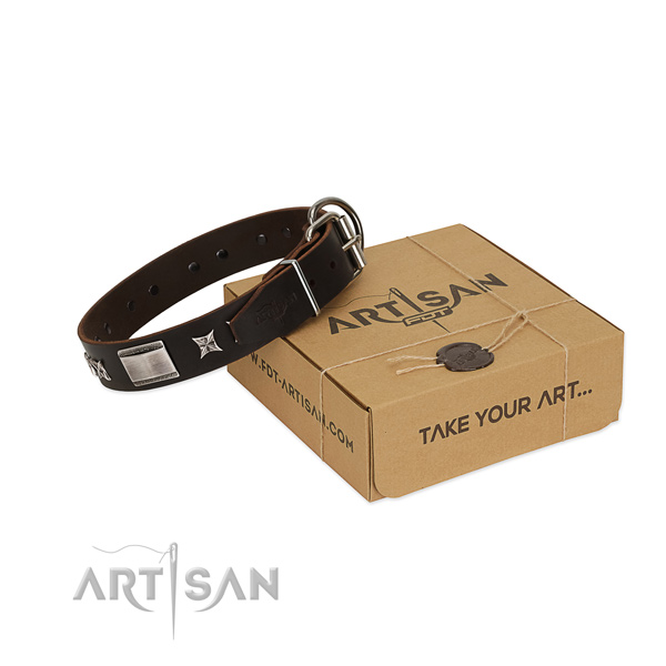 Embellished collar of full grain genuine leather for your attractive canine
