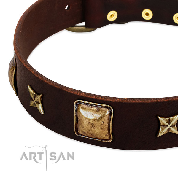 Durable embellishments on full grain genuine leather dog collar for your doggie