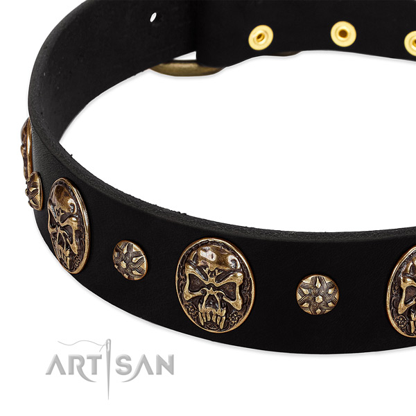 Strong studs on full grain genuine leather dog collar for your canine