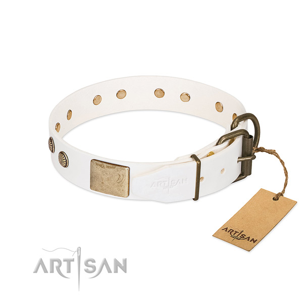 Corrosion proof traditional buckle on daily use dog collar