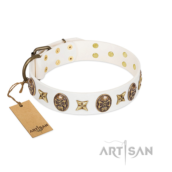 Awesome full grain leather dog collar for walking