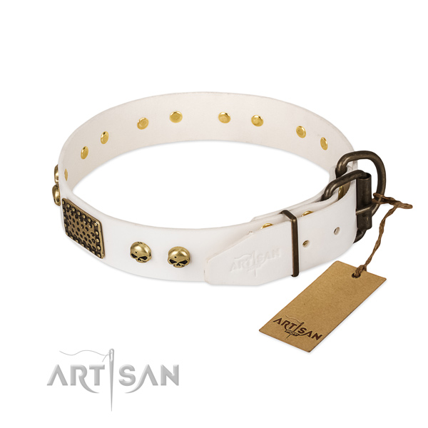 Adjustable full grain leather dog collar for everyday walking your doggie
