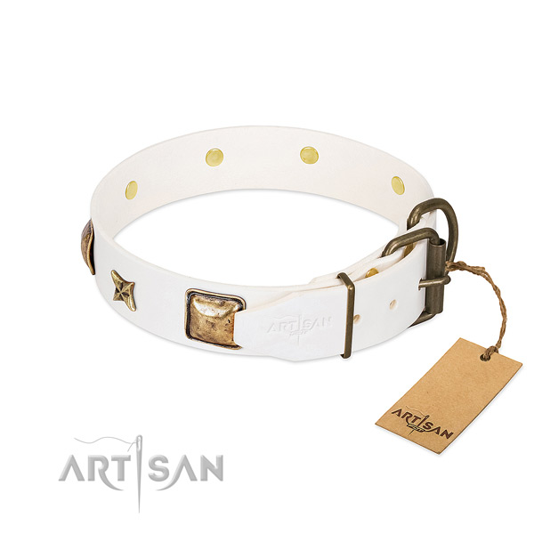 Leather dog collar with rust-proof fittings and decorations