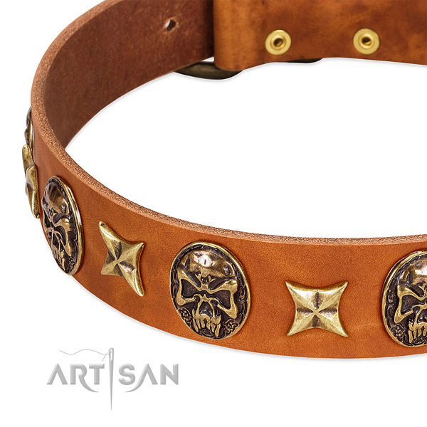 Rust-proof adornments on genuine leather dog collar for your four-legged friend