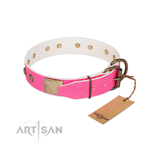 Strong D-ring on daily walking dog collar