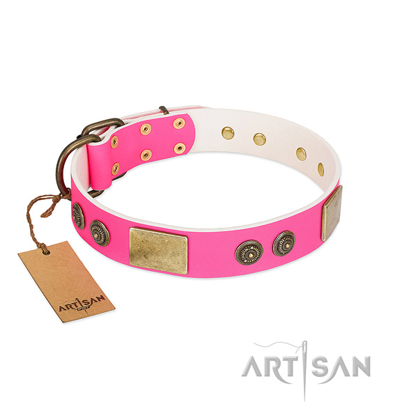 Significant genuine leather dog collar for comfortable wearing