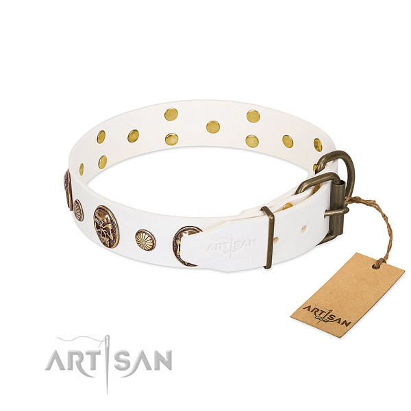 Rust resistant hardware on full grain leather collar for stylish walking your doggie