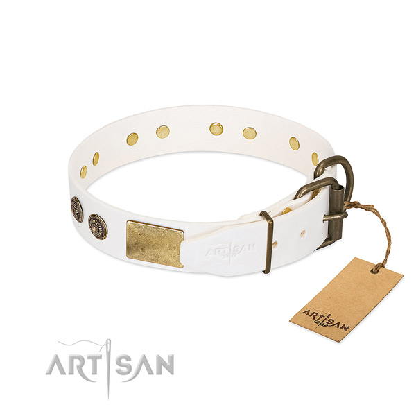 Strong traditional buckle on full grain leather collar for fancy walking your doggie