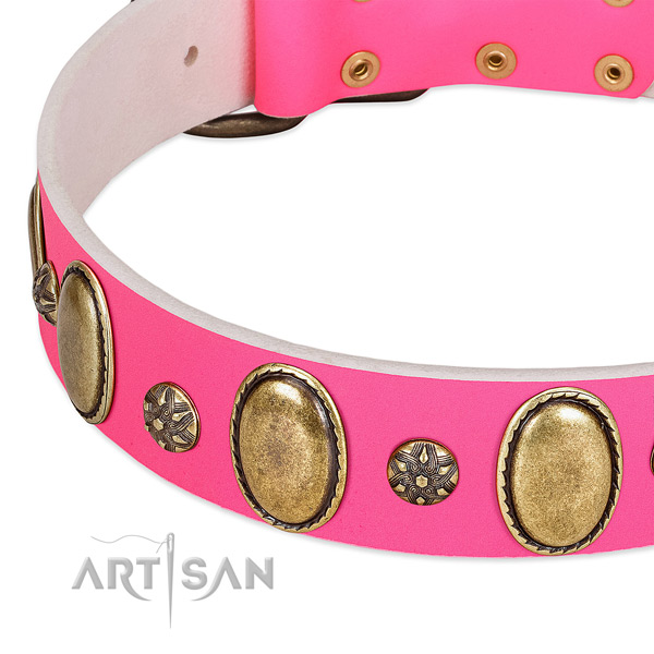 Daily use flexible leather dog collar with embellishments