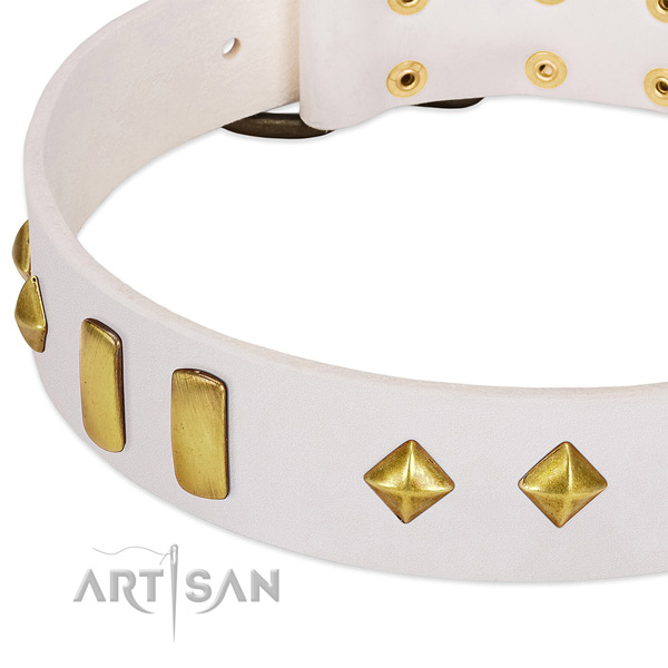 Everyday use leather dog collar with unique embellishments