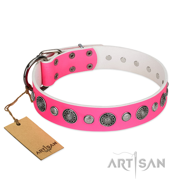 Gentle to touch Full grain natural leather dog collar with rust-proof fittings