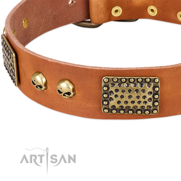 Corrosion proof fittings on leather dog collar for your doggie