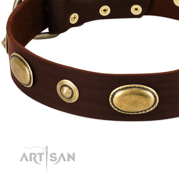 Reliable studs on genuine leather dog collar for your four-legged friend