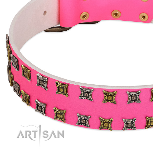 Leather dog collar with studs for your lovely canine