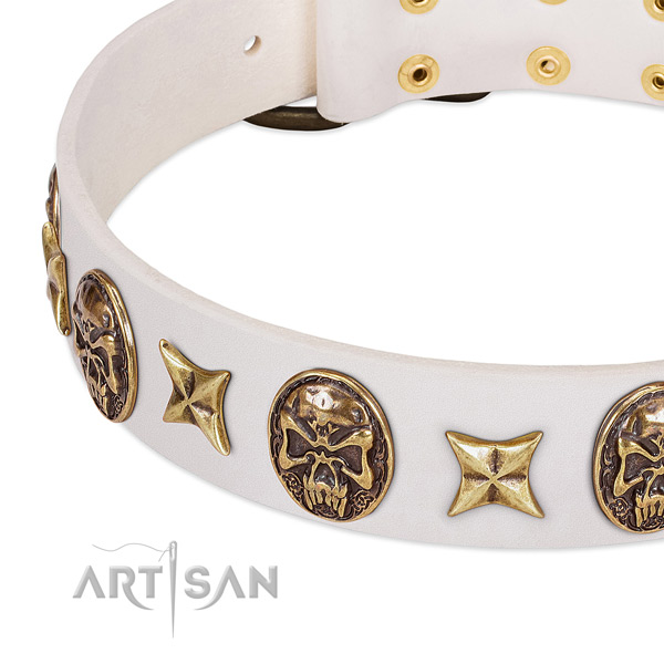 Impressive dog collar made for your attractive canine