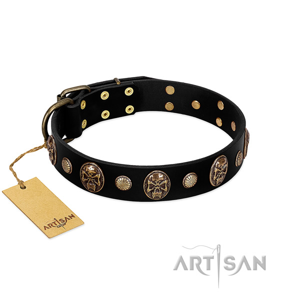 Genuine leather dog collar with rust resistant adornments