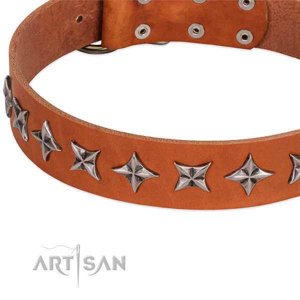 Fancy walking adorned dog collar of top quality natural leather