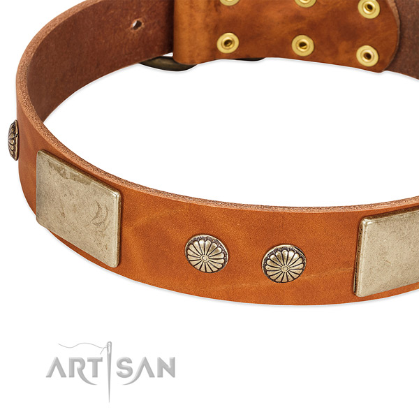 Rust-proof embellishments on full grain genuine leather dog collar for your doggie