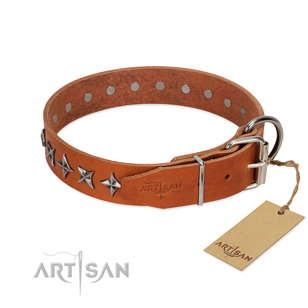 Walking adorned dog collar of top quality natural leather