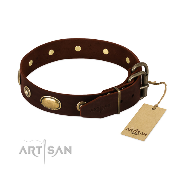 Reliable studs on full grain genuine leather dog collar for your doggie