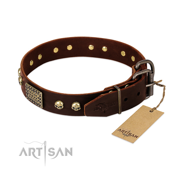 Rust resistant hardware on comfortable wearing dog collar