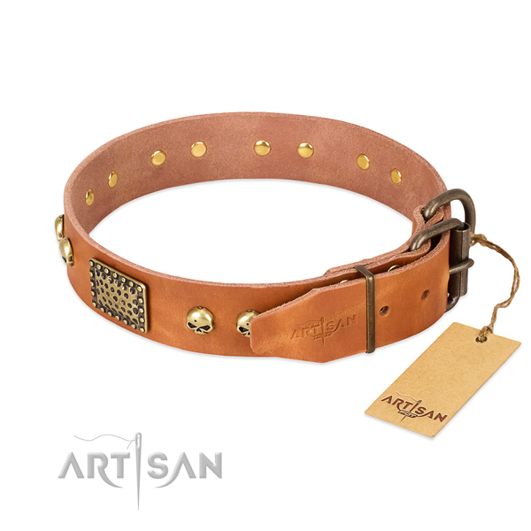 Reliable decorations on comfortable wearing dog collar