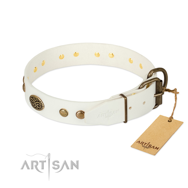 Reliable embellishments on natural leather dog collar for your doggie