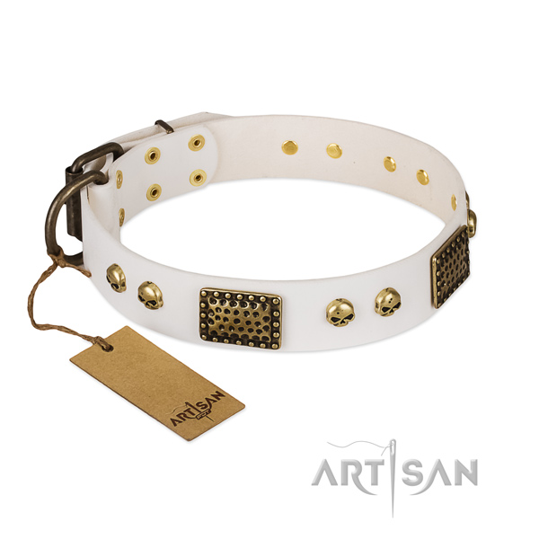 Corrosion resistant D-ring on easy wearing dog collar