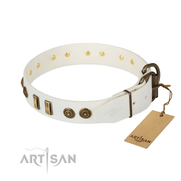 Durable decorations on leather dog collar for your pet