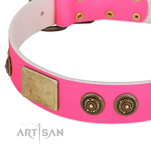 Inimitable dog collar crafted for your stylish pet