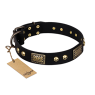 "Biker Style" FDT Artisan Black Leather Great Dane Collar with Old Bronze Look Plates and Skulls "Biker Style" FDT Artisan Black Leather Great Dane Collar with Old Bronze Look Plates and Skulls