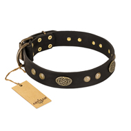 "Perfect Tracery" FDT Artisan Black Leather Great Dane Collar with Old Bronze Look Plates and Circles "Perfect Tracery" FDT Artisan Black Leather Great Dane Collar with Old Bronze Look Plates and Circles