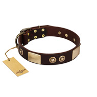 "Sense of Freedom" FDT Artisan Brown Leather Great Dane Collar with Old Bronze-Plated Studs and Plates