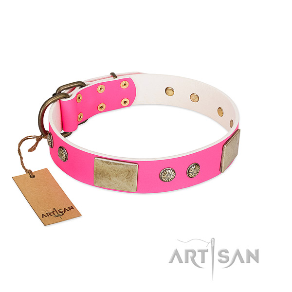 Easy wearing full grain genuine leather dog collar for walking your canine