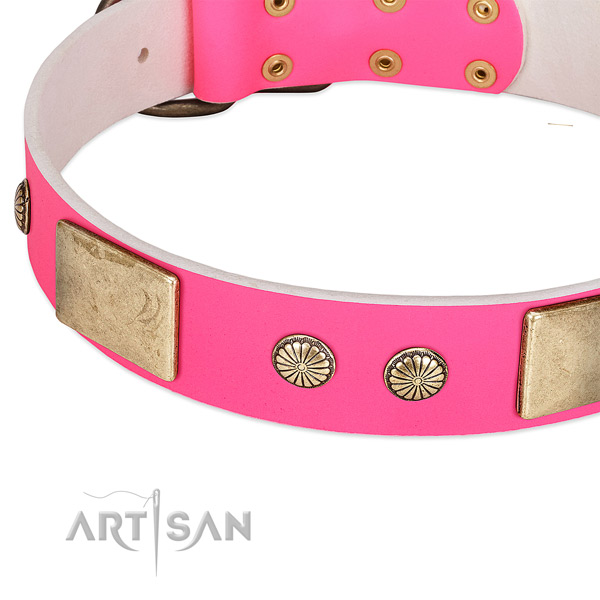 Corrosion proof D-ring on natural leather dog collar for your doggie