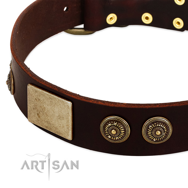 Corrosion resistant embellishments on full grain leather dog collar for your four-legged friend